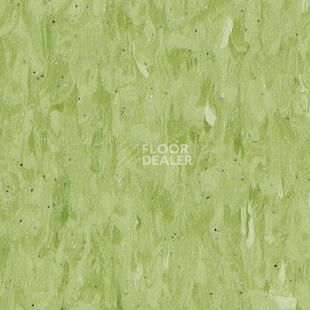 Линолеум Tarkett Iq Granit Safe T YELLOW GREEN 0705 фото 1 | FLOORDEALER